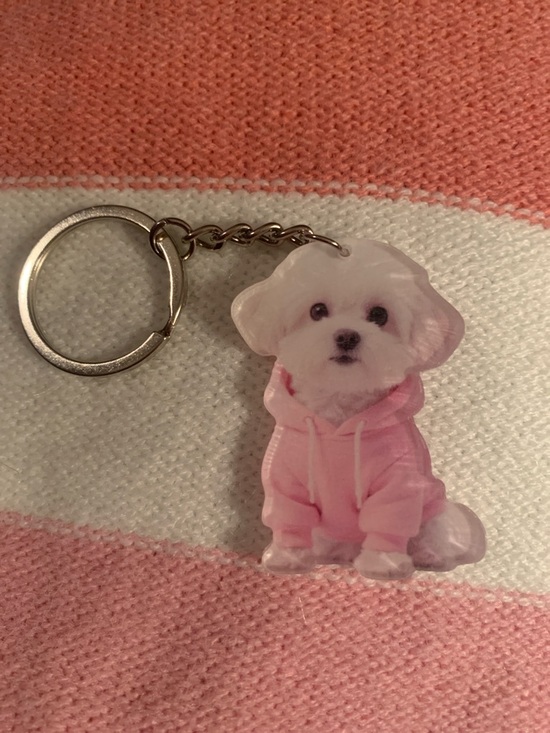Accessories - Cute Dog Keychain with Pink Hoodie